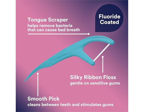 DenTek Comfort Clean Floss Picks - Sensitive Gums, Fresh Mint, 150 Count (2 Pack)