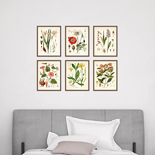 Vintage Botanical Flower Wall Art Set of 6 - 8x10 Inch Prints