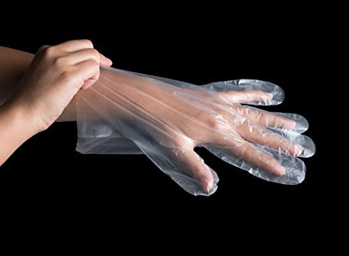 KingSeal Medium Disposable Gloves | 500 Count, Powder-Free, Food Safe