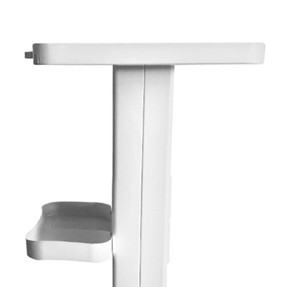 Premium Esthetician Cart with Socket and Wheels - Salon Trolley Cart with Handle, 110 lbs Weight Capacity - Ideal for Beauty Spa and Salon Use (Model 3)