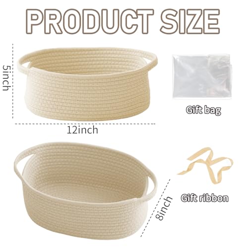 Small Woven Storage Basket with Handles - Cotton Rope, 12x8x5 in