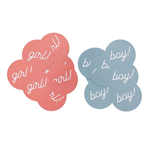 Gender Reveal Stickers - Pink & Blue Baby Shower Party Favors