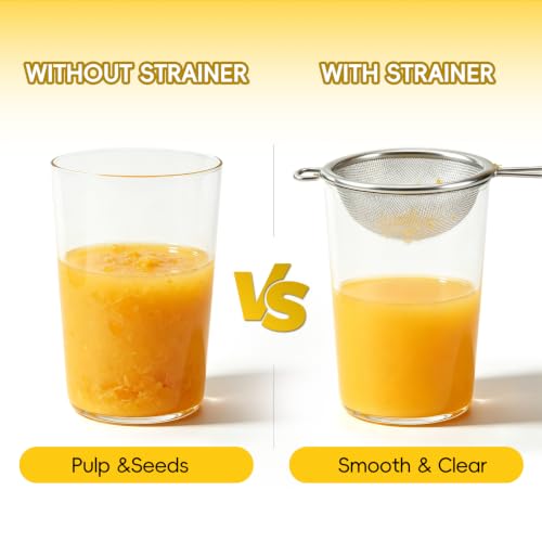 304 Stainless Steel Juice Strainer for Nama J2 - Mini Fine Mesh Filter