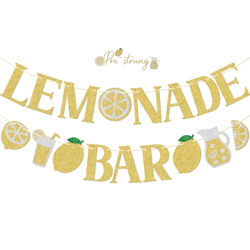 Lemonade Bar Banner – Summer Party Decor, Ready to Hang