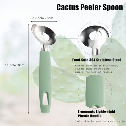 Cactus Peeler Tool Set - 2 Mint Green Stainless Steel Peelers for Nopales Prep
