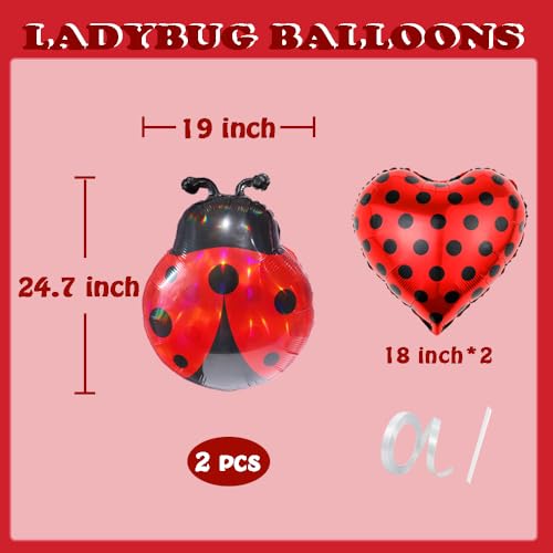 Ladybug Balloon Arch Kit for Baby Showers & Birthday Parties