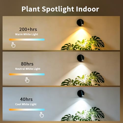 Rechargeable Indoor Spotlight with Remote | Dimmable 3-Color LED Picture Light