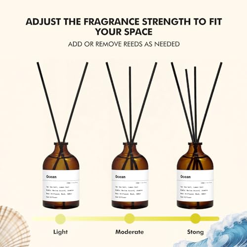 Aqua Blance Ocean Scent Reed Diffuser Set - 3.4 fl oz