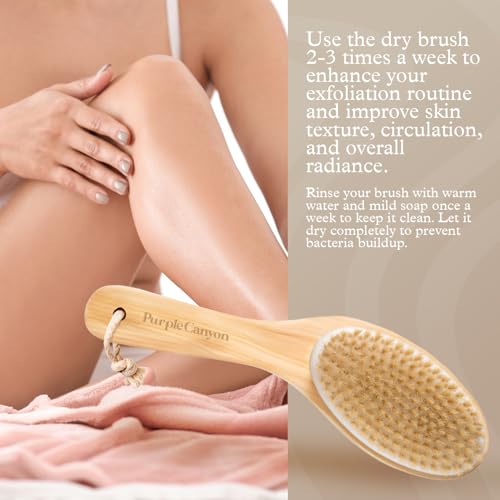 Purple Canyon Natural Boar Bristle Dry Body Brush for Exfoliation & Cellulite