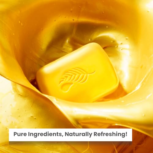 Melaleuca Gold Bar Soap with Citrus Scent - Natural Personal Care