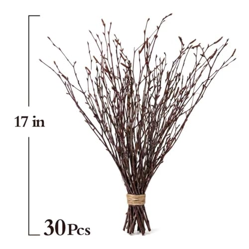 30 Natural Birch Branches - 17" Dried Twigs for Vases & Decor