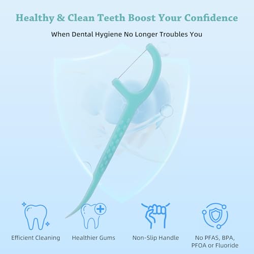 KSIA Unflavored Dental Floss Picks 480 Count with Portable Cases - Gentle Oral Cleaning