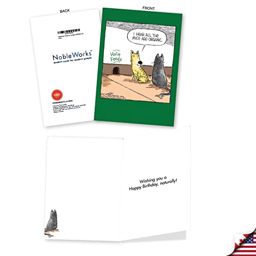 Funny Cat Birthday Cards Assorted Pack of 3 with Envelopes