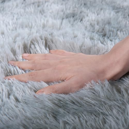 Fluffy Light Grey Area Rug 2x3 - Soft Shaggy Bedroom Carpet
