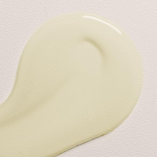 Davines OI Oil, Multi-Function Potion for All Hair Types - Weightless Anti-Frizz & Shine-Enhancing Serum with Roucou Oil - Detangles & Replenishes Moisture Hydrating Treatment