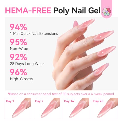 SAVILAND Cat-Eye Poly Gel Nail Kit - 4 Pink Colors with UV Lamp & Tools, Model 03-4