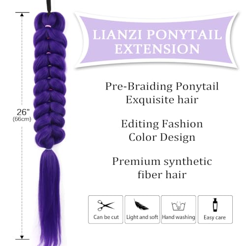 Lianzi 26 Inch Synthetic Purple Braided Ponytail Extensions - Dark Purple