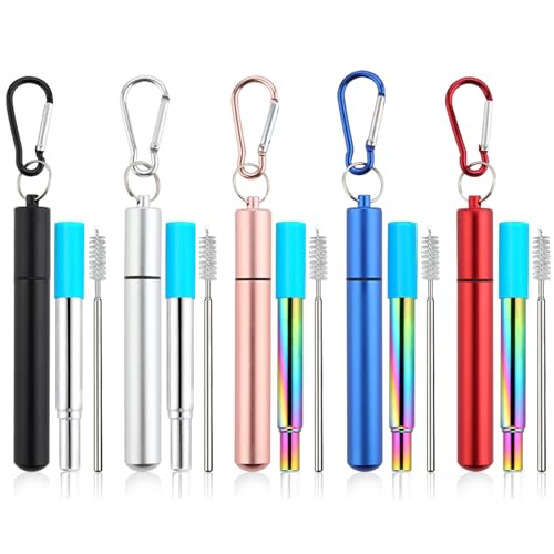 Collapsible Stainless Steel Reusable Straws - 5 Pack with Case & Brushes