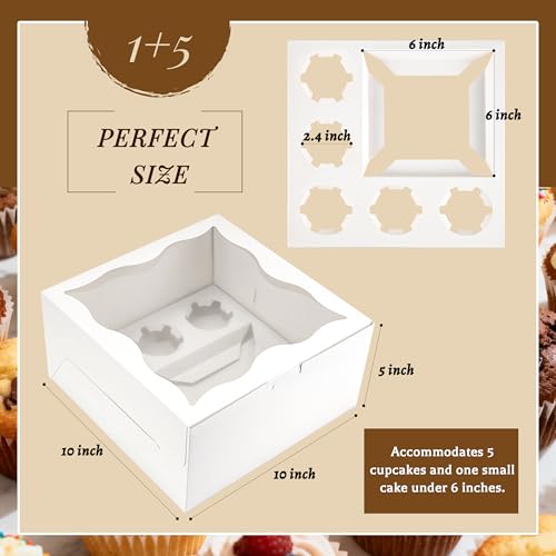 4 Pack Clear Window Bento Cake & Cupcake Boxes - Perfect for 5 Cupcakes & Mini Cake