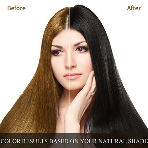 Ivnil Black Hair Dye Shampoo 3-in-1 for Gray Hair Coverage, 500ml