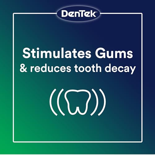 DenTek Professional Oral Care Kit with Triple Clean Floss Picks - 150 Count