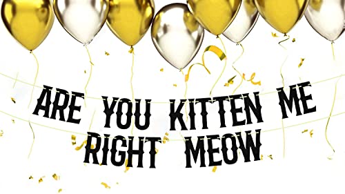 Are You Kitten Me Right Meow Banner - Black Glitter Cat Birthday Decor