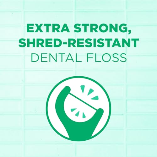 GUM Professional Clean Floss Picks, Mint Flavor, 300 Count