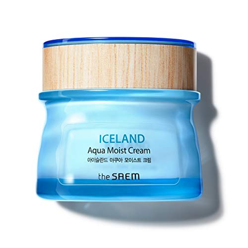 THESAEM Iceland Aqua Moist Cream - Hydrating Face Moisturizer for Sensitive Skin