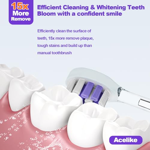Acelike Metal Electric Toothbrush with UV Sanitizer, 6 Heads & Travel Case