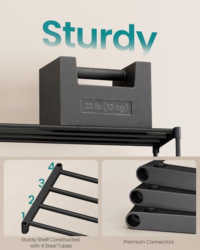SONGMICS 2-Tier Metal Shoe Rack - Compact Storage Organizer for Small Spaces