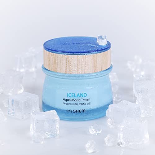 THESAEM Iceland Aqua Moist Cream - Hydrating Face Moisturizer for Sensitive Skin