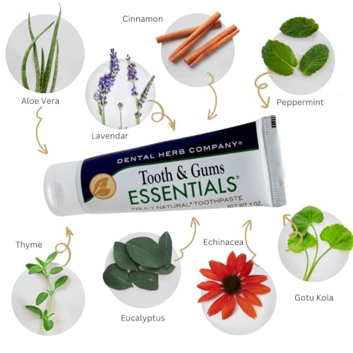 Natural Fluoride-Free Toothpaste Travel Size - 3 x 1oz Tubes