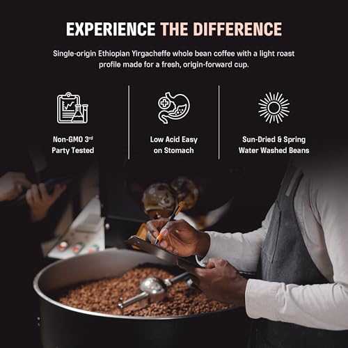 Organic Ethiopian Yirgacheffe Coffee Beans - Light Roast 12 oz