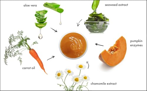 RAYA Pumpkin Enzyme Facial Peel - Gentle Exfoliating Skin Treatment for All Types