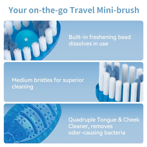 20 Count Disposable Toothbrushes with Toothpaste - On The Go Mini Brushes