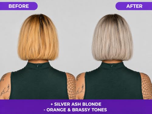 Naissant Silver Ash Blonde Hair Blue Toning Mask, 10.1 Fl. Oz