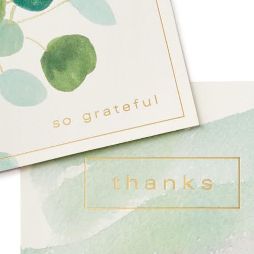 Hallmark Thank You Cards Assorted 50-Pack - Watercolor Greenery