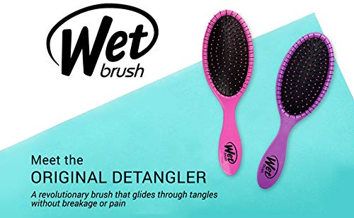 Wet Brush Original Detangler Hair Brush - Gemstone Smoky Quartz, Pain-Free Tangle-Free Styling