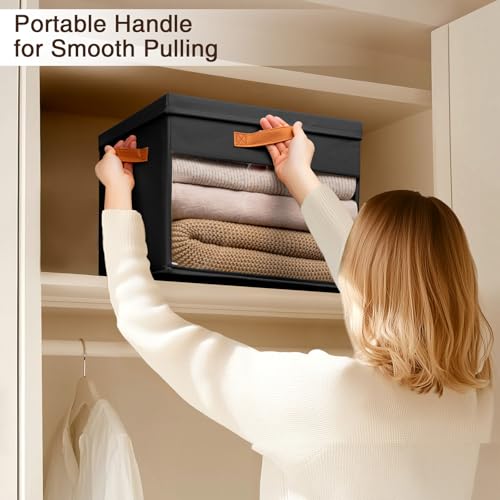 Large Foldable Storage Bins with Lids - 3 Pack, Black Organizers
