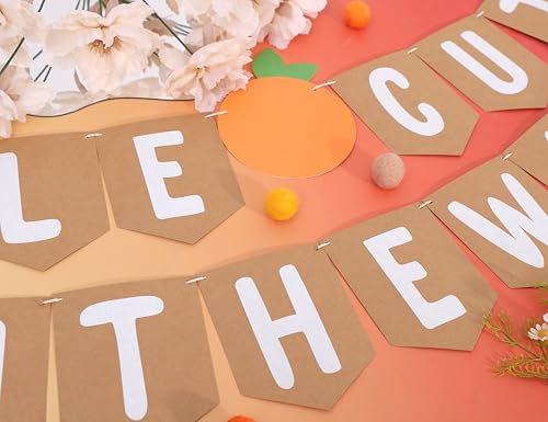 Little Cutie Baby Shower Banner - Citrus First Birthday Decoration