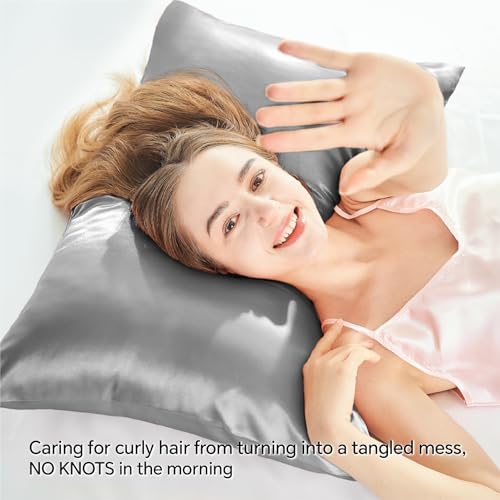 BEDELITE Satin Pillowcases Set of 4 - Standard 20"x26" Grey