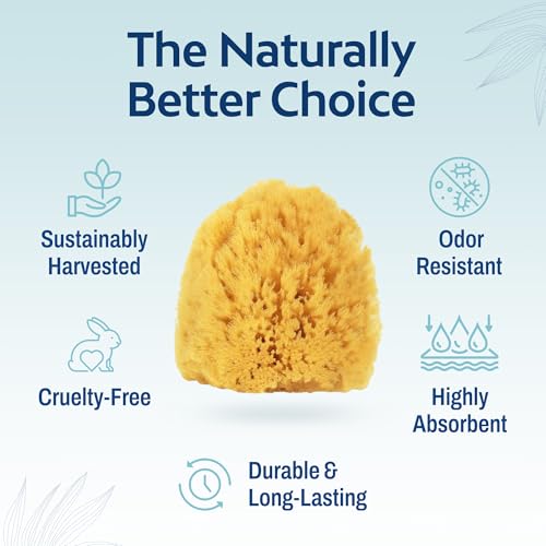 HartFelt Natural Grass Sea Sponge - 2 Bath Sponges (4in) for Exfoliating & Cleansing | Eco-Friendly with Mesh Bag