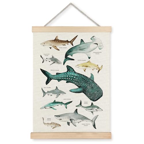 Supwhd Shark Wall Art with Wooden Frame - 12x16 Ocean Decor