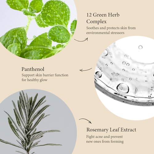 Fraijour Herb Wormwood O₂ Mask Pack - Exfoliating Bubble Mask for Oily & Acne-Prone Skin, 10.1 fl. oz.