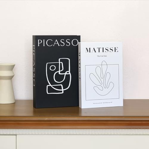 Set of 2 Decorative Faux Books - Modern Black & White Art Theme