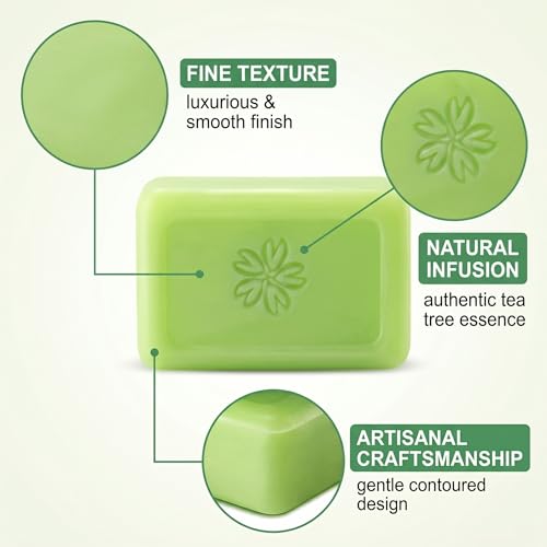 JGNOMB Tea Tree Oil Soap Set - Natural Face & Body Cleansing Bar (2 Pack)