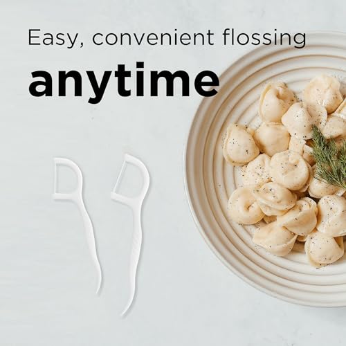 Micro Dental Floss Picks with Easy Grip Handle - 100 Count
