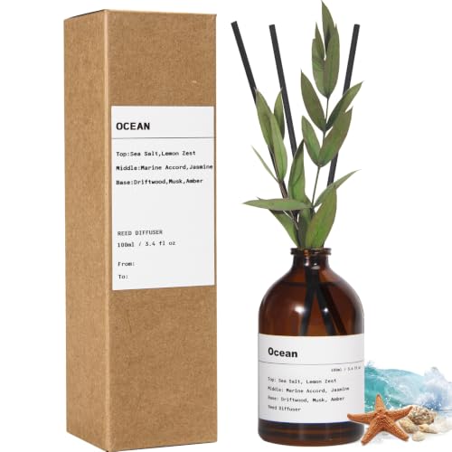 Aqua Blance Ocean Scent Reed Diffuser Set - 3.4 fl oz