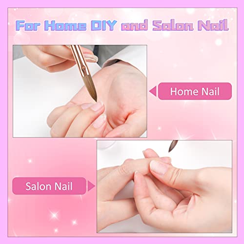 Size 12 Kolinsky Acrylic Nail Brush - Pink & White Gradient