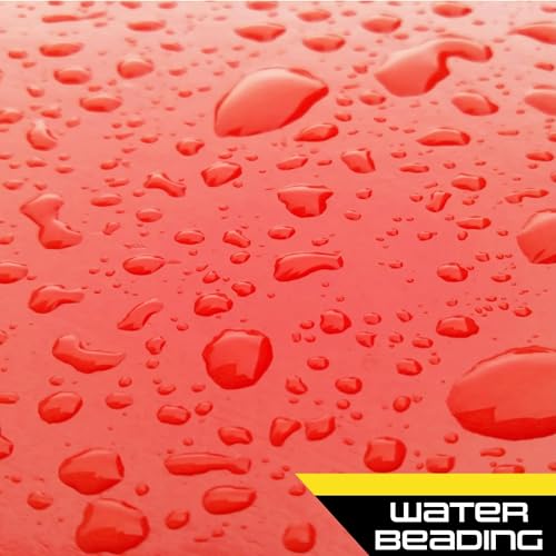 Formula 1 Car Wash and Carnauba Wax - 32 oz 2-in-1 Auto Detailing Soap